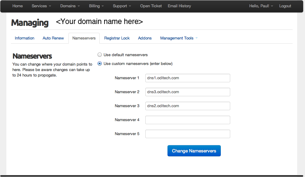 Select name servers